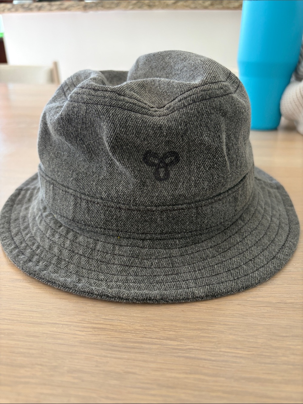 Aritzia Bucket Hat